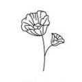 Augustmohn